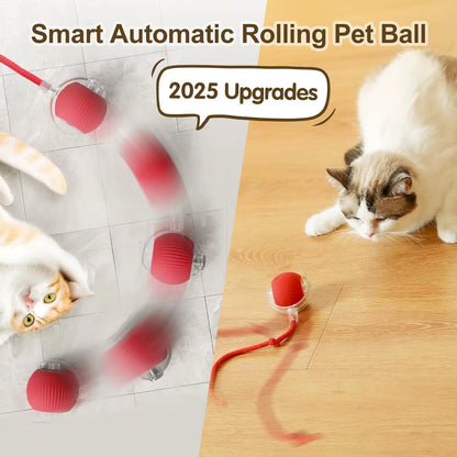 Automatic Interactive Cat Toy Ball with Tail - Rechargeable Smart Pet Plaything